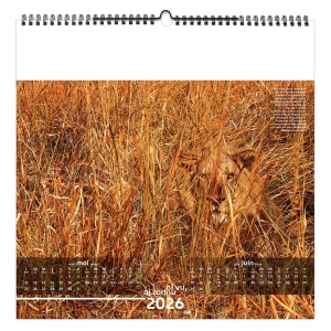 NI VU, NI CONNU 2026 - XXL 474 x 474 mm - MARQUAGE 1 COULEUR - RELIURE BAGUETTE 7