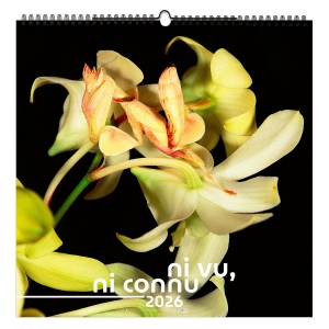 NI VU, NI CONNU 2026 - XXL 474 x 474 mm - MARQUAGE 1 COULEUR - RELIURE BAGUETTE