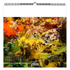 NI VU, NI CONNU 2026 - XXL 474 x 474 mm - MARQUAGE 1 COULEUR - PAGE DE GARDE REPIQUÉE - RELIURE BAGUETTE 5