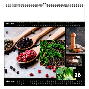 AROMATES ET COMPAGNIE 2026 - XXL 474 x 474 mm - MARQUAGE 1 COULEUR - RELIURE BAGUETTE 10