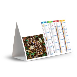 CHEVALET DE COMPTOIR - IMPRENABLE 2026 - QUADRI 3
