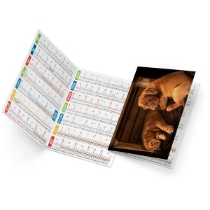 FIDELE 2026 - NEUTRE 4 POSES 2