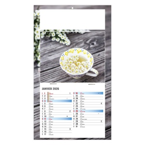 PLAQUE 1 VUE PHYTO 2026 - DOS CARTON - EURO BLOC - MARQUAGE QUADRI 3