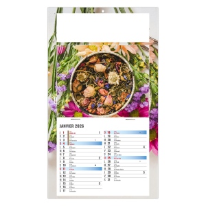 PLAQUE 1 VUE PHYTO 2026 - DOS CARTON - EURO BLOC - MARQUAGE QUADRI