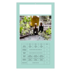 PLAQUE 1 VUE HOMEO 2026 - DOS CARTON - EURO BLOC - MARQUAGE QUADRI 5