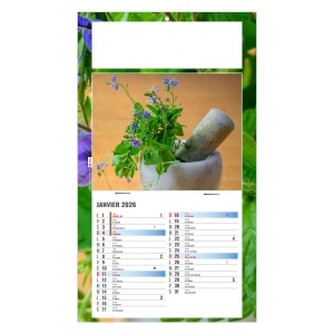 PLAQUE 1 VUE PHYTO 2026 - DOS MAGNETIQUE - BLOC B2 - MARQUAGE QUADRI 4