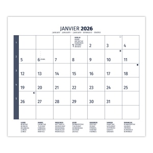 PLAQUE 1 VUE HOMEO 2026 - DOS MAGNETIQUE - EURO BLOC - MARQUAGE QUADRI 7