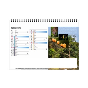 CHEVALET STANDARD 13F - EQUATEUR 2026 - QUADRI - AVEC PLAQUE FEUILLETS REPOSITIONNABLES 5