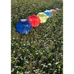 Parapluie golf automatique Andy 17