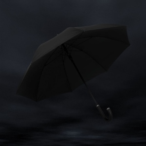 Parapluie 25'' en rPET Aware™ Swiss Peak Vero 8