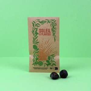 Sachet kraft graines exotiques