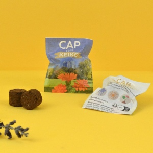 Palet à graines en papillote 2