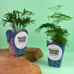 Plante pot popcorn