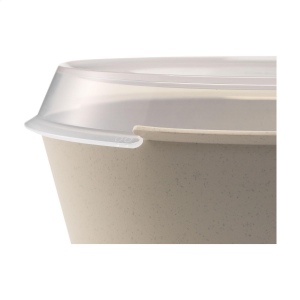 Bol en plastique pratique de Circulware 12