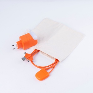 Pack Ice-C - Pack composé d'un câble Ice-c et une prise ICE-GAN 4