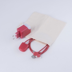 Pack Ice-C - Pack composé d'un câble Ice-c et une prise ICE-GAN 3