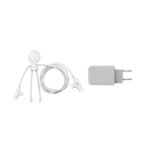 Pack Mobility - Pack composé d'un câble Mr bio Long Fast 60w d'1m20 et une prise ICE-GAN 14