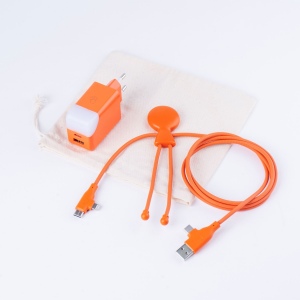 Pack Mobility - Pack composé d'un câble Mr bio Long Fast 60w d'1m20 et une prise ICE-GAN 6