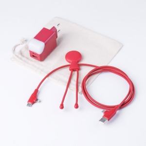 Pack Mobility - Pack composé d'un câble Mr bio Long Fast 60w d'1m20 et une prise ICE-GAN 3