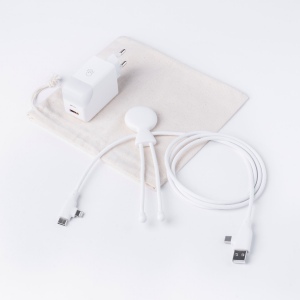 Pack Mobility - Pack composé d'un câble Mr bio Long Fast 60w d'1m20 et une prise ICE-GAN 2