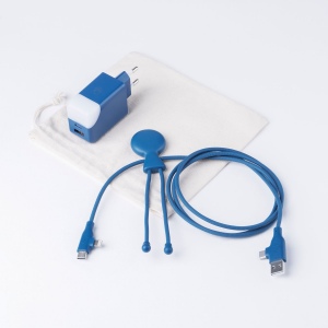 Pack Mobility - Pack composé d'un câble Mr bio Long Fast 60w d'1m20 et une prise ICE-GAN 4