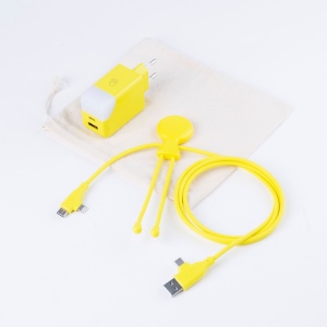 Pack Mobility - Pack composé d'un câble Mr bio Long Fast 60w d'1m20 et une prise ICE-GAN 5