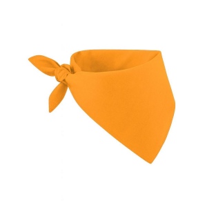Foulard/bandana 100% coton 3