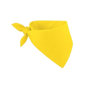Foulard/bandana 100% coton 4