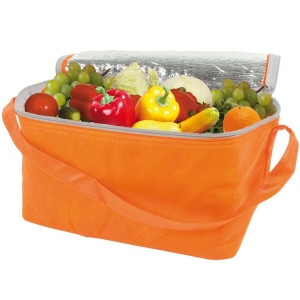 Sac isotherme en TNT, avec interieur argenté 12