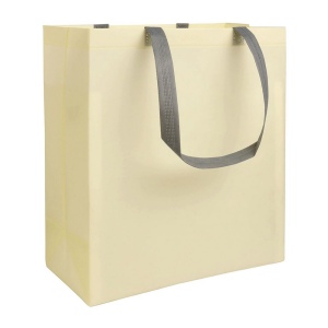 Shopper avec soufflet en TNT laminé 100g/m2 thermosoudé, anses longues 3