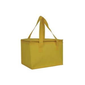 Sac isotherme en TNT laminé et intérieur argenté 17
