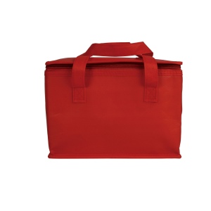 Sac isotherme en TNT laminé et intérieur argenté 22