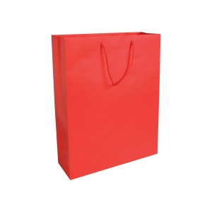 Shopper avec soufflet en papier laminé opaque 157 g/m2 avec renforcement au fond 3