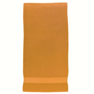 Serviette en éponge de coton 100% (300gr/m2) avec bande de couleur en polyester imprimable 9