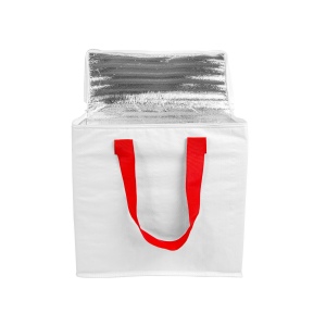 Sac isotherme en PP laminé 120 g/m2, anses colorées, fermeture éclair 18
