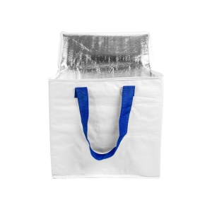 Sac isotherme en PP laminé 120 g/m2, anses colorées, fermeture éclair 9