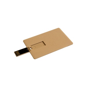 Clé USB de 4 Gb en forme de carte, en paille de blé et PP. Possibilité d'import sur demand 5