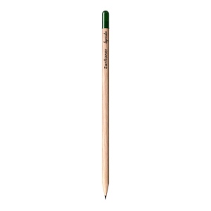 Crayon Sprout en bois durable avec mine graphite. Plantable après utilisation 12