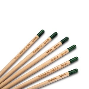 Crayon Sprout en bois durable avec mine graphite. Plantable après utilisation 26