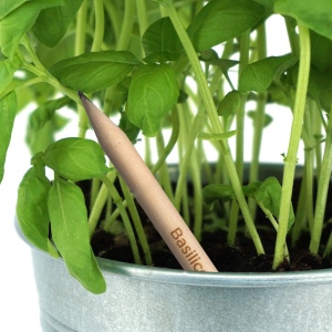 Crayon Sprout en bois durable avec mine graphite. Plantable après utilisation 28