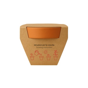 Pot en terre cuite naturelle avec tourbe et capsule biodegradable contenant des graines 20