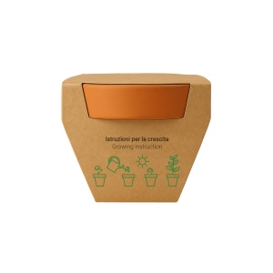 Pot en terre cuite naturelle avec tourbe et capsule biodegradable contenant des graines 4