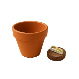 Pot en terre cuite naturelle avec tourbe et capsule biodegradable contenant des graines 5