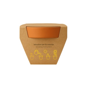 Pot en terre cuite naturelle avec tourbe et capsule biodegradable contenant des graines 8