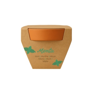 Pot en terre cuite naturelle avec tourbe et capsule biodegradable contenant des graines 11