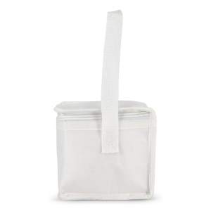 R-PET 6 Sac isotherme non tissé 20x 13 x 12.5cm 75g/m² 9