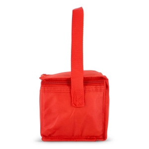 R-PET 6 Sac isotherme non tissé 20x 13 x 12.5cm 75g/m² 30