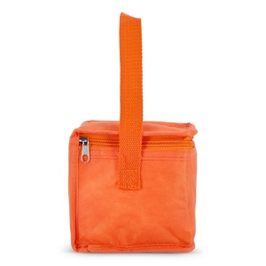 R-PET 6 Sac isotherme non tissé 20x 13 x 12.5cm 75g/m² 34