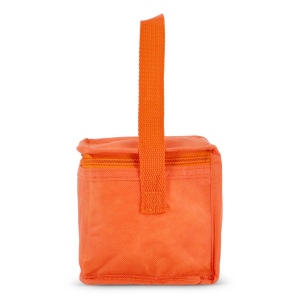 R-PET 6 Sac isotherme non tissé 20x 13 x 12.5cm 75g/m² 35