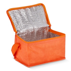 R-PET 6 Sac isotherme non tissé 20x 13 x 12.5cm 75g/m² 36